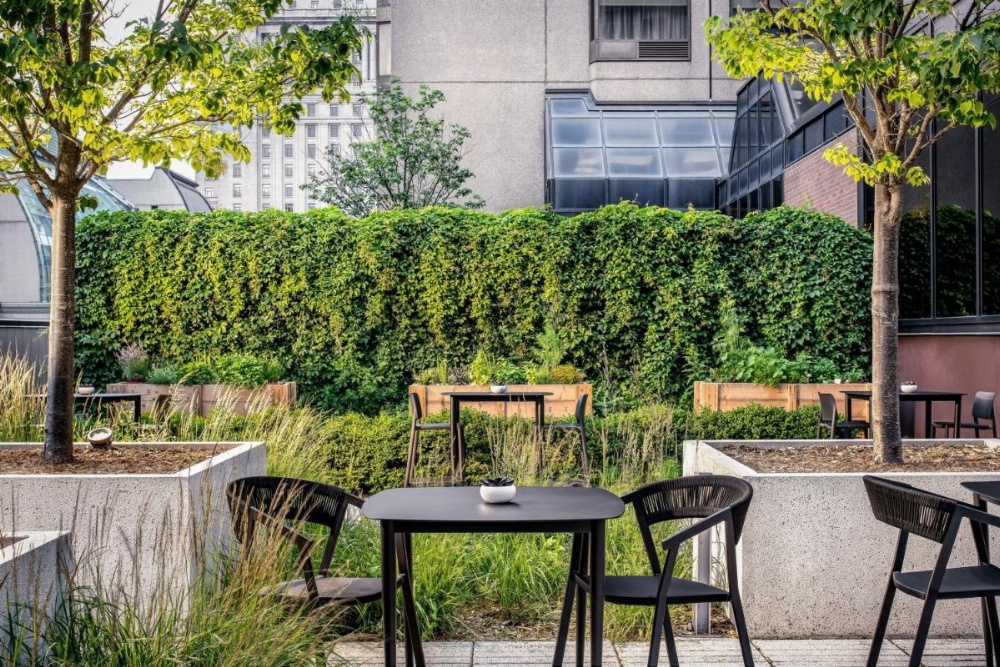 Le Centre Sheraton Montreal Hotel Image 14
